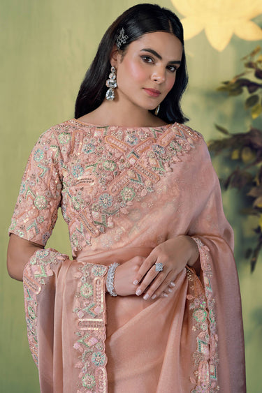 Peach Wedding Wear Tissue Border Work Saree
