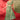 Ingenious Sequins Work Sea Green Color Net Fabric Lehenga