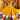 Navratri Special Designer Yellow Lehenga Choli For Women
