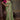 Elegant Sea Green Silk Saree For Festive Wear