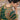 Green Color Pleasant Organza Silk Saree