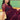 Radiance Wine Function Wear Shimmer Silk Saree