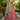 Tissue Sequins Embroidered Pink Designer Bridal Lehenga Choli