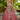 Tissue Sequins Embroidered Pink Designer Bridal Lehenga Choli