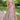 Pink Color Gorgeous Organza Fabric Lehenga