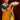 Mustard Color Charismatic Border Work Fancy Fabric Saree