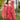 Exclusive Pink Georgette Indo Western Cowl Skirt With Heavy Blouse With Cape