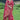 Vaishnavi Andhale Red Color Border Work Pleasant Wedding Wear Dola Silk Saree
