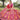 Jacquard Work On Banarasi Silk Fabric Bewitching Lehenga In Multi Color