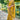Border Work On Mustard Color Aristocratic Art Silk Fabric Saree