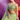 Sangeet Function Net Fabric Ravishing Lehenga In Green Color