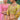 Beautiful Multi Color Pure Silk Bridal Lehenga Choli