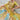 Beautiful Multi Color Pure Silk Bridal Lehenga Choli
