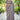 Function look Organza Lace Work Saree in Grey Color