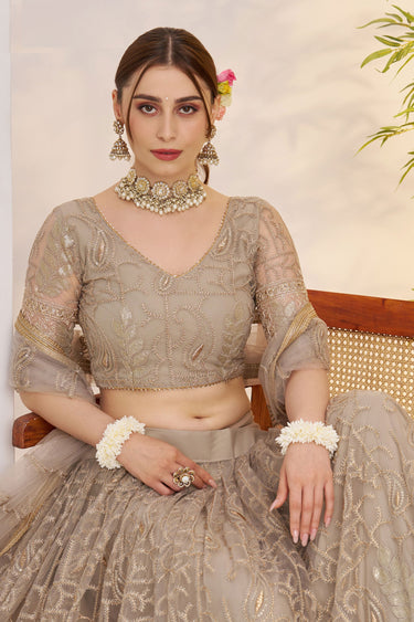 Blazing Dark Beige Color Function Wear Embroidered Net Fabric Lehenga