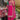 Heavy Embroidered Pink Color Palazzo Suit