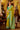 Designer Green Art Silk Zari Weave Saree
