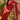 Royal Red Gota Patti Bandhej Georgette Saree