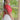 Navratri Special Cotton Red Gamthi Lehenga With Bandhej Print Choli