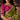 Traditional Designer Lace Border Work Party Wear Saree