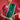 Dark Green Chic Art Silk Saree With Embroidered Blouse