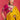Premium Yellow Art Silk Saree With Embellished Embroidered Blouse