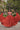 Vibrant Rust Traditional Kutchi Embroidered Anarkali Gown
