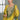Yellow Embroidered Readymade Palazzo Salwar Suit
