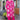 Cotton Magenta Readymade Kurti With Pant