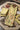 Embroidered Chinon Yellow Readymade Palazzo Salwar Kameez