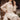 Chiffon Function Wear White Designer Salwar Suit