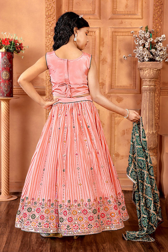 Peach Embroidered Lehenga Choli