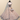 Dazzling Sequins Work On Peach Color Net Lehenga