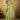 Green Color Fantastic Function Wear Saree In Tissue Fabric
