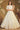 Designer Party Style Net Fabric Beige Color Fancy Work Gown