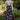 Crepe Silk Fabric Navy Blue Color Designer 3 Piece Lehenga Choli