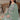 Georgette Fabric Sea Green Color Winsome Pakistani Replica Suit