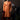 Orange Color Cotton Fabric Festive Wear Trendy Readymade Kurta Pyjama For Men