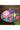 Digital Printed Blue Color Art Silk Luminous Clutch