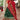 Printed Dark Green Color Designer Lehenga Choli In Art Silk Fabric
