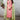 Pink Color Stylish Art Silk Function Wear Salwar Suit