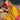 Dazzling Mustard Color Pure Gajji Bandhani Satin Saree With Heavy Embroidered Silk Blouse