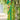 Printed Green Color Chiffon Fabric Daily Wear Saree