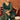 Incredible Georgette Dark Green Color Function Wear Fancy Work Palazzo Suit