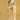 Trendy Organza Fabric Cream Color Saree
