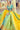 Multi Color Embroidered Silk Lehenga Choli