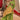Elegant Art Silk Green Color Saree with Weaving Work For Function