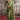 Delicate Green Color Heavy Embroidery Work Fancy Fabric Saree With Party Look Blouse