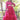 Party Weae Pink Color Captivating Gown In Net Fabric