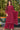 Akanksha Puri Georgette Fabric Burgundy Color Excellent Palazzo Suit